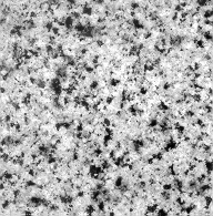 GRANITE Bianco