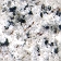 Bianco - Click for larger image.