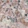 Malva - Click for larger image.