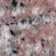 Rossetto - Click for larger image.